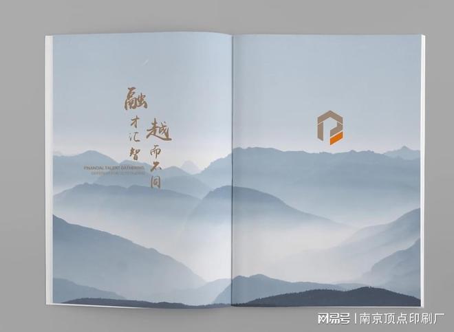 南京设计不同档次的宣传册费用-南京三联单印刷-节日礼袋印刷