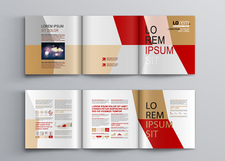 白山市人民政府